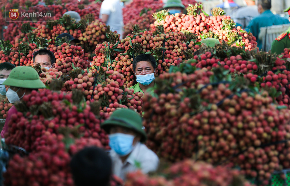 Ảnh: Nông dân Bắc Giang nối đuôi nhau chở vải thiều ra chợ, đường quê đỏ rực một màu - Ảnh 11.