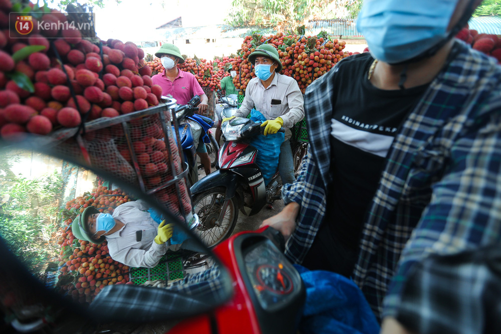 Ảnh: Nông dân Bắc Giang nối đuôi nhau chở vải thiều ra chợ, đường quê đỏ rực một màu - Ảnh 3.