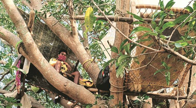 Ấn Độ: Nhiều bệnh nhân Covid-19 tự cách ly hàng chục ngày trên cây như trong phim Tarzan - Ảnh 3.