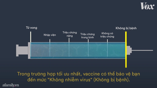Phân biệt các loại vaccine COVID-19 thông qua 