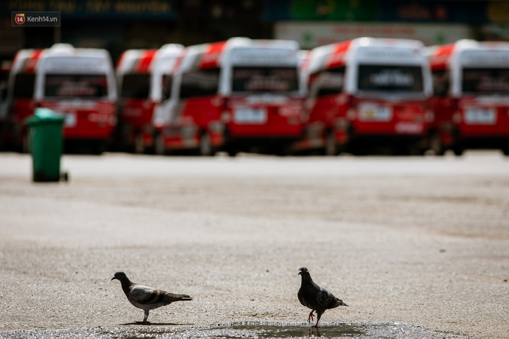 Nỗi buồn của tài xế Sài Gòn những ngày thực hiện Chỉ thị 10: Taxi mất việc, xe ôm mòn mỏi chờ khách - Ảnh 1.