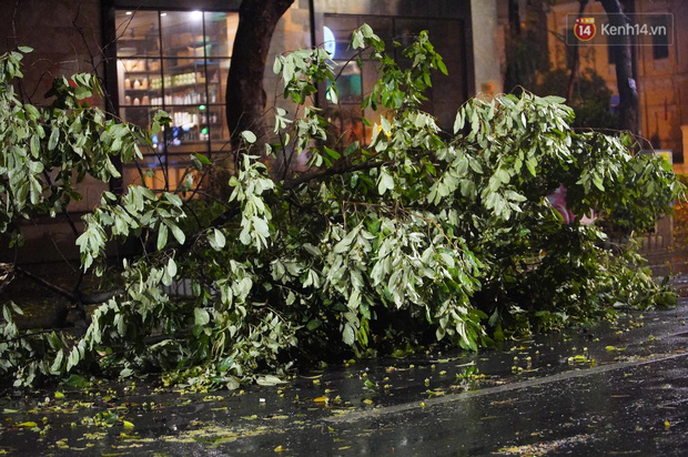 Hàng loạt cây xanh gãy đổ khắp đường phố Hà Nội sau cơn mưa giông tầm tã - Ảnh 10.