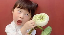 Háo hức rủ cháu gái 3 tuổi chụp ảnh cùng hoa sen, bác gái dở khóc dở cười với cái kết hài "nhức nách"