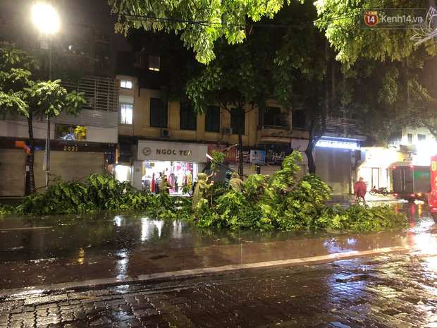 Hàng loạt cây xanh gãy đổ khắp đường phố Hà Nội sau cơn mưa giông tầm tã - Ảnh 5.