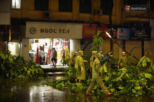 Hàng loạt cây xanh gãy đổ khắp đường phố Hà Nội sau cơn mưa giông tầm tã - Ảnh 2.