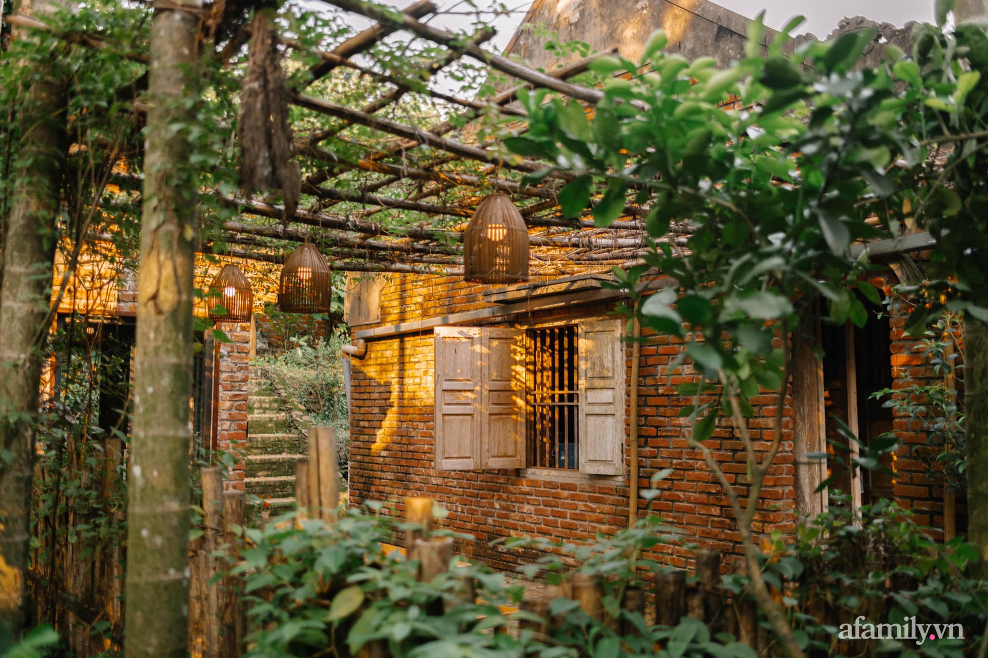 Cuộc sống yên bình trong ngôi nhà nhỏ cùng khu vườn xanh mát bóng cây ở ngoại thành Hà Nội - Ảnh 10.