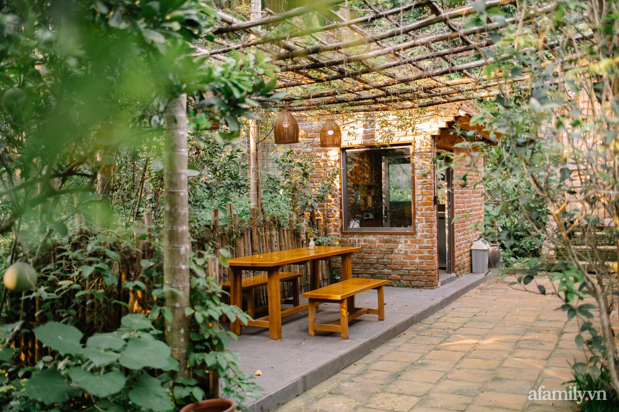 Cuộc sống yên bình trong ngôi nhà nhỏ cùng khu vườn xanh mát bóng cây ở ngoại thành Hà Nội - Ảnh 4.