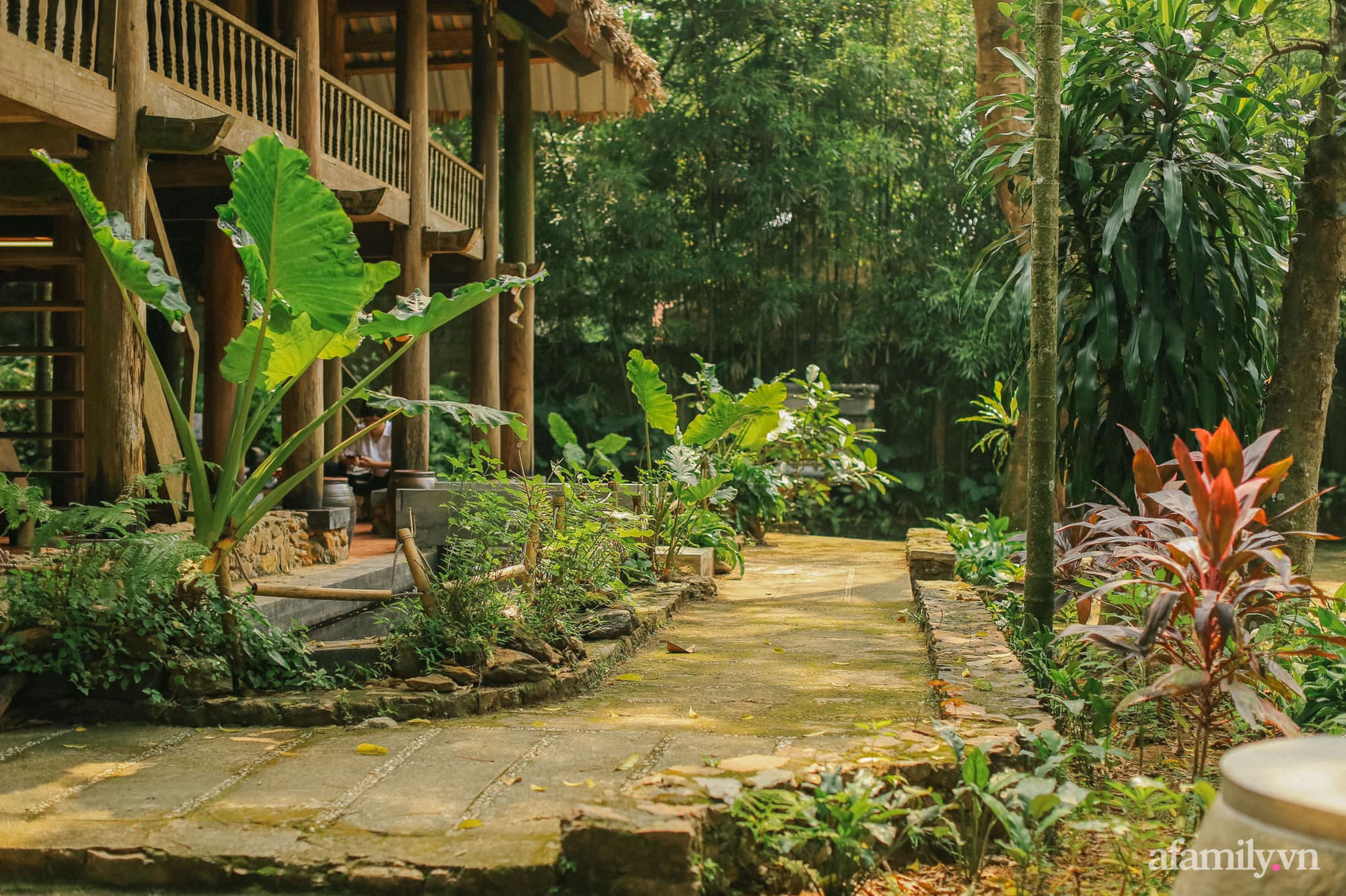 Cuộc sống yên bình trong ngôi nhà nhỏ cùng khu vườn xanh mát bóng cây ở ngoại thành Hà Nội - Ảnh 5.