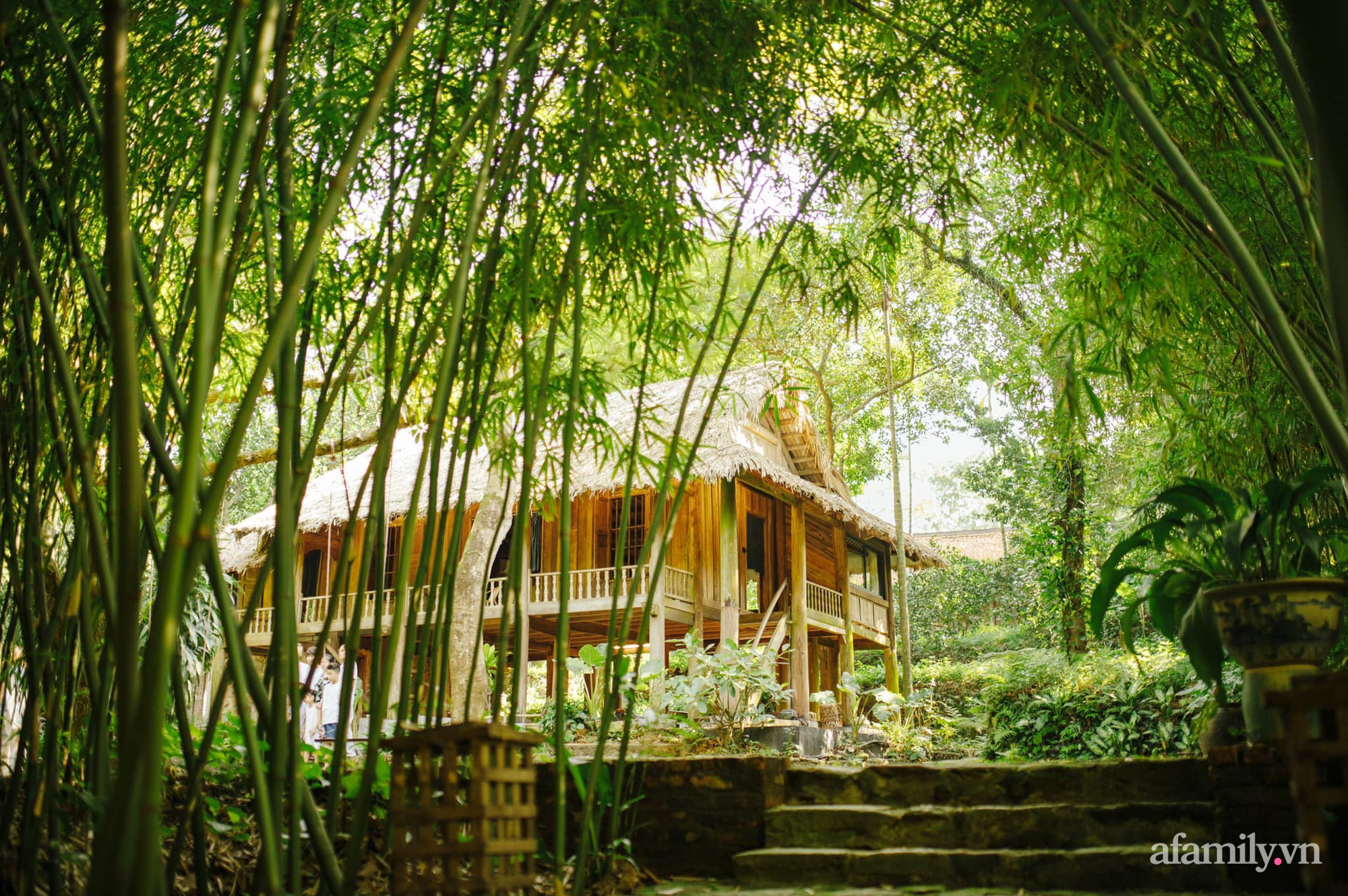 Cuộc sống yên bình trong ngôi nhà nhỏ cùng khu vườn xanh mát bóng cây ở ngoại thành Hà Nội - Ảnh 1.