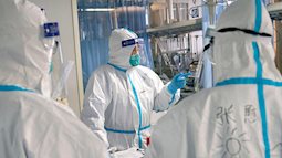 NYT: Nhà khoa học Mỹ vừa khôi phục được một phần dữ liệu bị xóa "đáng ngờ" về COVID-19 ở Vũ Hán