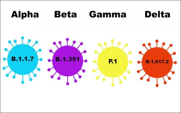 Sau Delta, chủng đột biến mới đang dấy lên lo ngại: Cứ 10 ca tử vong thì có 9 ca là vì virus Gamma - Ảnh 2.