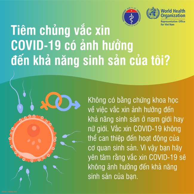 Sự thật về tiêm vaccine COVID-19: Đang có kinh nguyệt, có bầu, cho con bú có thể tiêm không? Có ảnh hưởng sinh sản không? - Ảnh 4.