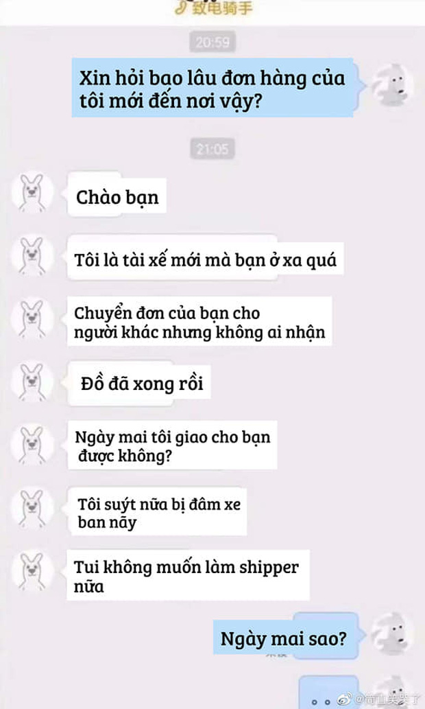 7749 cuộc hội thoại chân thật cười ra nước mắt thời gặp shipper nhiều hơn cả người yêu - Ảnh 15. 7749 cuộc hội thoại chân thật cười ra nước mắt thời gặp shipper nhiều hơn cả người yêu - Ảnh 15.