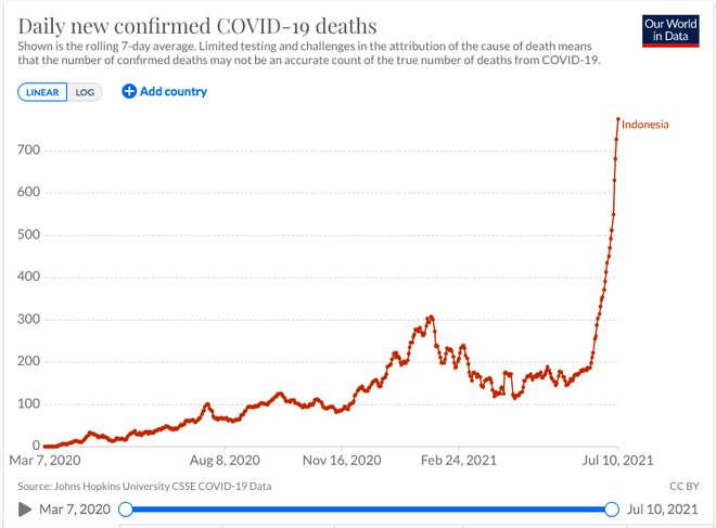 Tái hiện thảm họa Ấn Độ vì làn sóng Covid-19 có tính hủy diệt: Indonesia kêu gọi hỗ trợ khẩn cấp - Ảnh 1.
