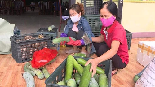 Chuyện đẹp bầu bí thương nhau - Ảnh 5.