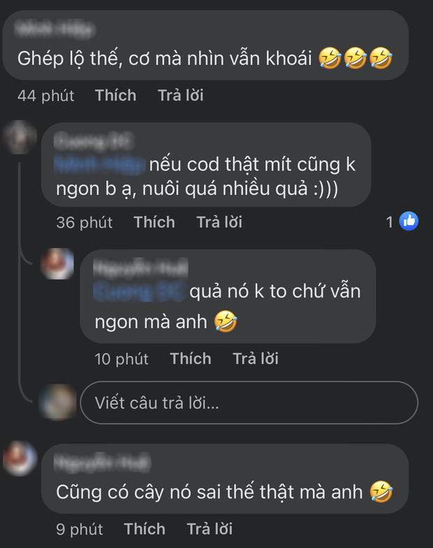 Sửng sốt trước cây mít cổ thụ cho nhiều quả bậc nhất Việt Nam, gia chủ nào trồng được chắc phải khóc thét vì lý do này - Ảnh 3.