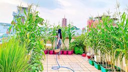 Khu vườn trên sân thượng đủ mọi loại rau sạch của nữ CEO xinh đẹp ở Sài Gòn