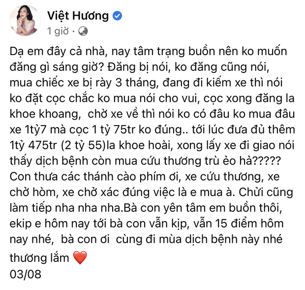 Giao xe cứu thương 2,55 tỷ cho ông Đoàn Ngọc Hải, NS Việt Hương phải lên tiếng cực căng vì bị chỉ trích nặng nề - Ảnh 3.