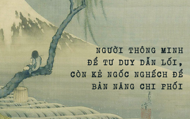 Tại sao bỏ nhiều cua vào xô mà không con nào bò ra được? Bài học quý giá từ quy luật của loài cua khiến nhiều người giật mình suy ngẫm, nhận ra vì sao cả đời mình không thể khá lên được - Ảnh 1.