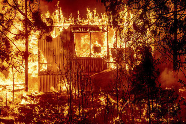 Mỹ: Người dân Greenville tuyệt vọng trong thị trấn bị cháy rừng xóa sổ - Ảnh 2.
