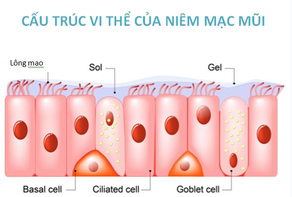 Xui nhau dùng nước muối đậm đặc súc mũi rửa virus SARS-CoV-2, bác sĩ thốt lên: Đừng nghe đồn nhảm mà... rước thêm bệnh! - Ảnh 4.