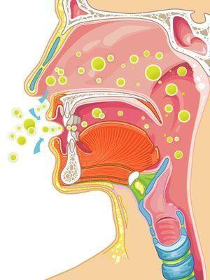 Thực hư việc súc miệng họng thường xuyên để ngừa COVID-19: Lời khuyên của bác sĩ chuyên khoa Tai-Mũi-Họng - Ảnh 4.