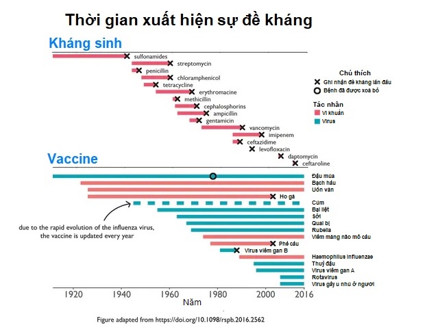 Lo ngại kháng vaccine giống kháng kháng sinh: 2 điểm khác biệt về cơ chế tấn công, giải đáp nỗi lo của vạn người - Ảnh 2.