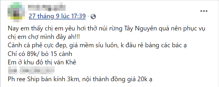 Chị em thích thú làm đẹp nhà bằng cách cắm cành quả 