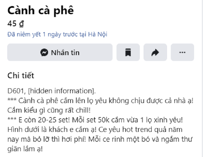 Chị em thích thú làm đẹp nhà bằng cách cắm cành quả 