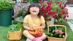 Tận dụng khoảng sân trước, mẹ Việt ở Nhật cải tạo thành khu vườn đẹp xinh dành tặng con gái