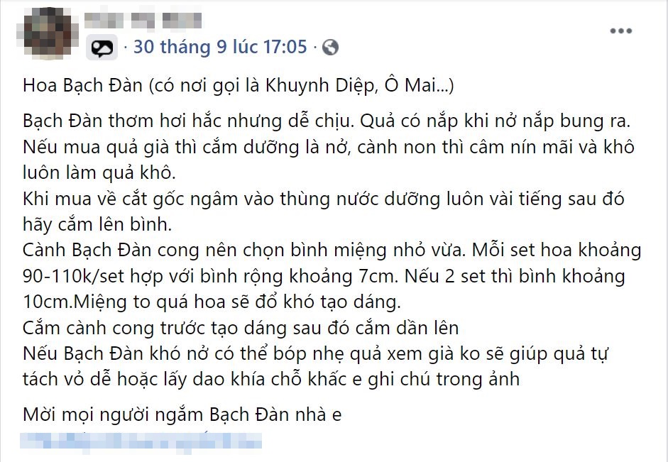 Mẹ đảm thích thú 