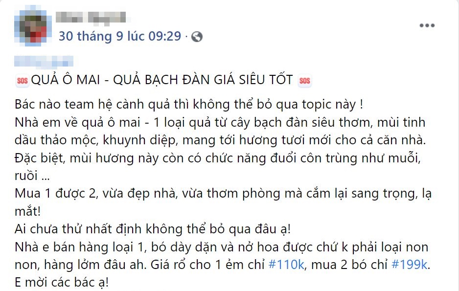 Mẹ đảm thích thú 