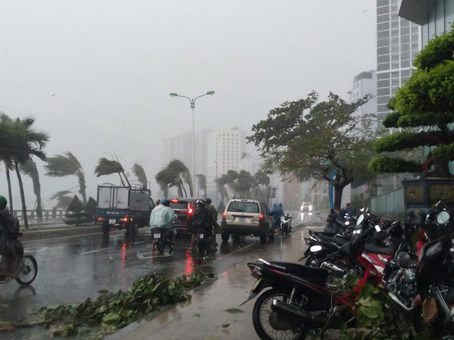 Diễn biến thiên tai nguy hiểm 10 ngày tới: Biển Đông khả năng xuất hiện liên tiếp 2 cơn bão, miền Trung có nơi mưa đặc biệt lớn trên 600mm - Ảnh 2.