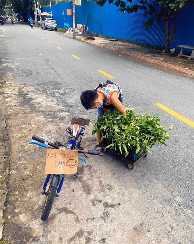 Không có điện thoại học online, cậu bé đẩy xe bán rau phụ mẹ: Đôi chân khiến tất cả đau lòng - Ảnh 2.