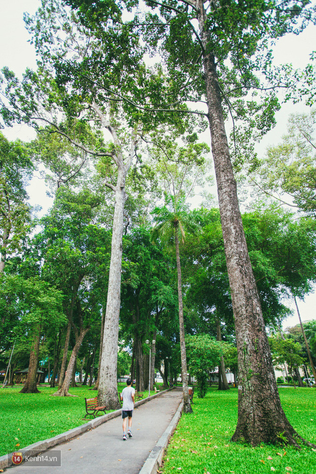 Công viên Tao Đàn (Sài Gòn) lọt top những địa điểm kinh dị nhất thế giới, nguyên nhân đến từ lời đồn thất thiệt năm xưa? - Ảnh 2.