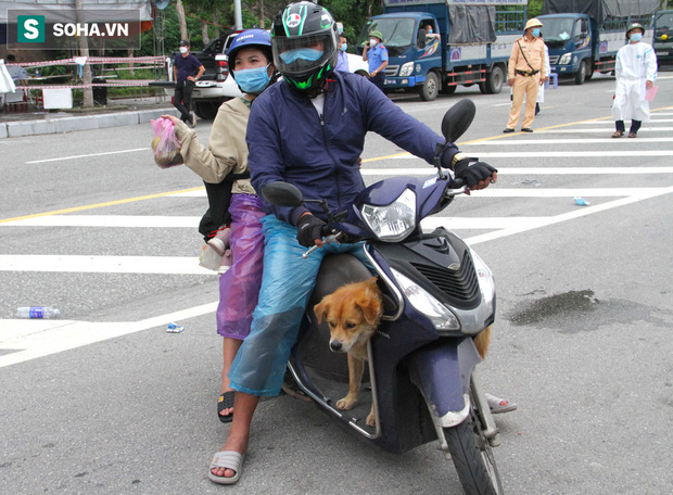 Những chú chó trong hành trình hồi hương: Dù gian nan nhưng tất cả đều cùng nhau vượt qua - Ảnh 11.