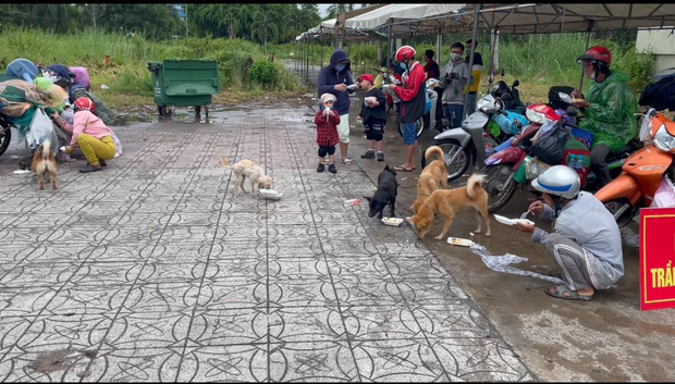 Những chú chó trong hành trình hồi hương: Dù gian nan nhưng tất cả đều cùng nhau vượt qua - Ảnh 3.