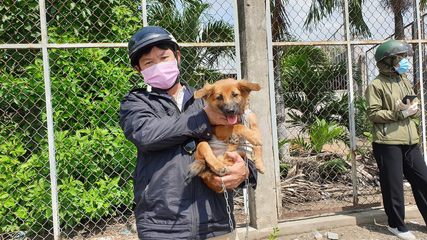 Những chú chó trong hành trình hồi hương: Dù gian nan nhưng tất cả đều cùng nhau vượt qua - Ảnh 9.