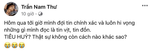 Loạt sao Việt lên tiếng trước vụ việc 15 chú chó bị thiêu hủy: Hồng Ánh gửi đơn kiến nghị lên tổ chức quốc tế - Ảnh 6.