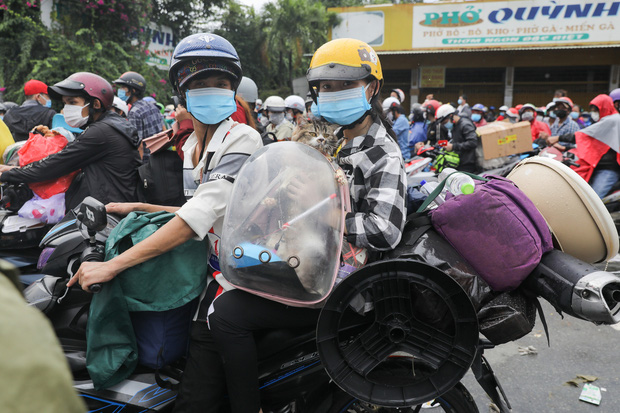 Những chú chó trong hành trình hồi hương: Dù gian nan nhưng tất cả đều cùng nhau vượt qua - Ảnh 10.