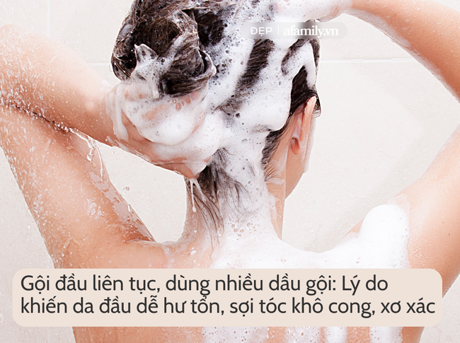 7 lý do khiến mái tóc bạn khô xơ quanh năm chứ không riêng gì mùa hanh khô - Ảnh 2.