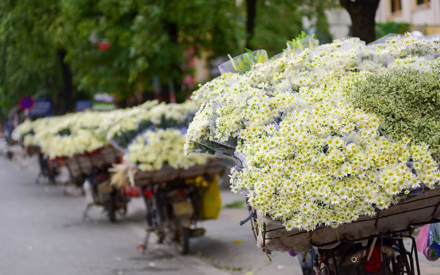 Cúc họa mi xuống phố đầu mùa nở căng đẹp, bó to 10 cành có giá 100 ngàn - Ảnh 2.