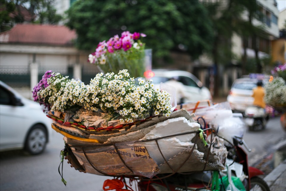 Cúc họa mi xuống phố đầu mùa nở căng đẹp, bó to 10 cành có giá 100 ngàn - Ảnh 4.