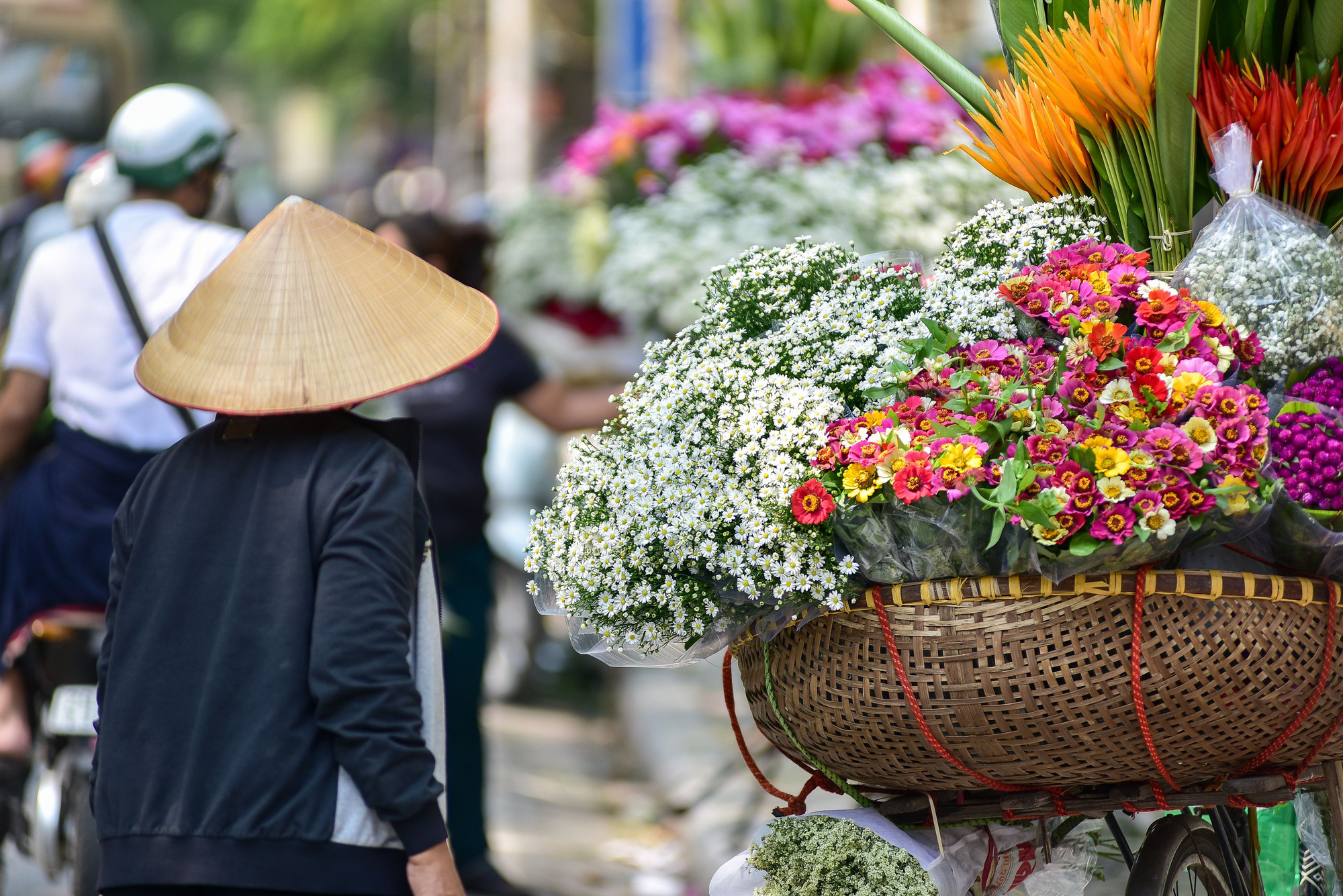 Cúc họa mi xuống phố đầu mùa nở căng đẹp, bó to 10 cành có giá 100 ngàn - Ảnh 5.