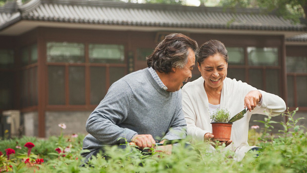 Giới trẻ rộ lên trào lưu nghỉ hưu sớm, thế mà nhiều người lớn tuổi phát rồ sau khi về hưu, cớ sao lại có chuyện ngược đời vậy? - Ảnh 4.