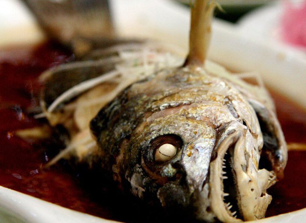 5 bộ phận của cá không tốt như chúng ta vẫn tưởng, thậm chí chứa độc tố gây ngộ độc, bệnh tim mạch - Ảnh 1.