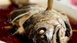 5 bộ phận của cá không tốt như chúng ta vẫn tưởng, thậm chí chứa độc tố gây ngộ độc, bệnh tim mạch
