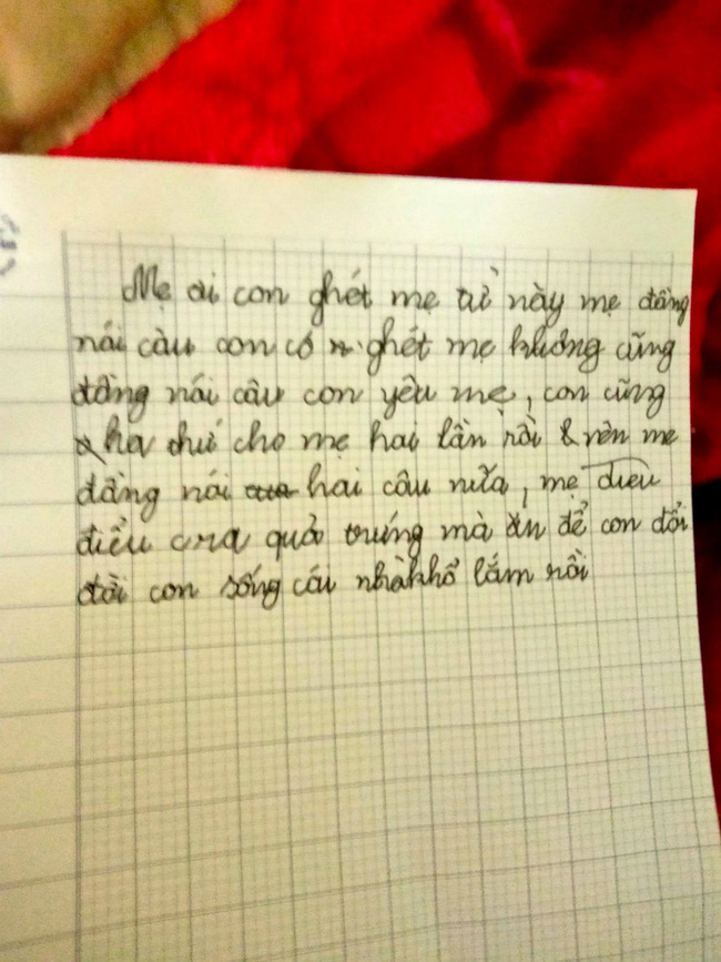 Bức thư con gái gửi mẹ đầy xót xa: ''Mẹ ơi con ghét mẹ, con đã tha thứ 2 lần rồi nên mẹ đừng nói gì nữa'' - Ảnh 1.