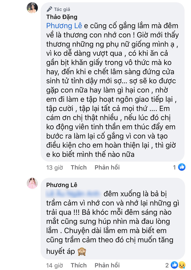 Hoa hậu Đặng Thu Thảo vén màn cuộc hôn nhân với chồng doanh nhân: Từng bị đánh đập, tiểu tam khủng bố tới mức ăn cả bịch khăn giấy trong vô thức - Ảnh 8.