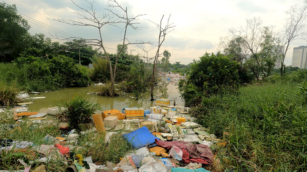 Vợ chồng ve chai sống giữa bãi rác ở SG, nhiễm kí sinh trùng nặng: Ước có nơi sinh con - Ảnh 1.